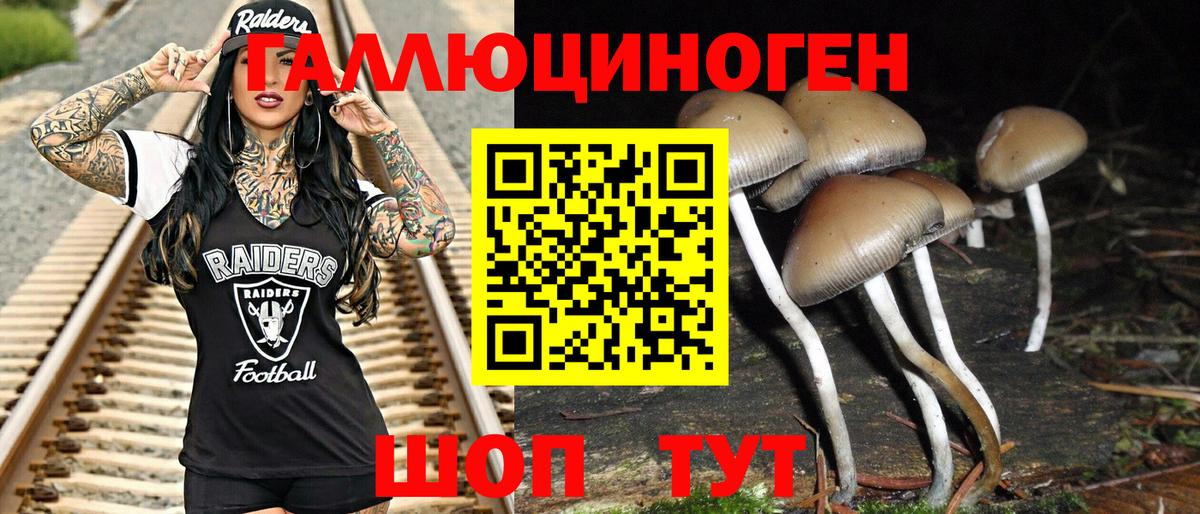 Псилоцибиновые грибы GOLDEN TEACHER Волжский